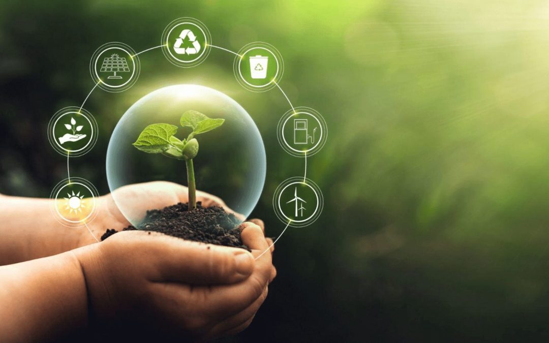 Agricultura Sustentável: O Caminho para a Geração de Créditos de Carbono